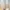 Minimalist Casual dress Wanita tan cream photo 1