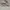 Adidas Casual Sneakers Pria white gray photo 1