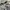 Adidas Sportswear Casual T-shirt Pria gray photo 2