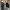 Dunlop Vintage Y2K Formal shirt Pria tan navy photo 2