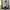 Vintage Y2K Formal shirt Pria tan photo 2
