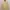 Polo Ralph Lauren Luxury Formal shirt Pria yellow photo 1