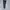 Fila Sportswear Tracksuit Pria navy photo 4