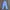 Adidas Sportswear Tracksuit Pria White Blue