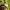 Grooverhyme Streetwear Casual Sweater Pria green photo 5