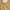 Tsumori Chisato Casual Casual dress Wanita tan photo 5