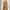 Tsumori Chisato Casual Casual dress Wanita tan photo 3