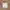 Tsumori Chisato Casual Casual dress Wanita tan photo 7