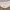 Tsumori Chisato Casual Casual dress Wanita tan photo 6