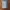 Visvim Vintage Biker Pria tan photo 1