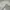 Fear of God ESSENTIALS Streetwear Sportswear Sweater Pria black gray photo 1