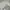 Fear Of God ESSENTIALS Streetwear Sportswear Sweater Pria Black Gray