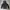 Fieldcore Streetwear Windbreaker Pria white black photo 4