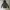 Fieldcore Streetwear Windbreaker Pria white black photo 7