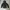 Fieldcore Streetwear Windbreaker Pria white black photo 5