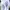 Kenzo Setelan Kids White