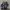 Nike Gorpcore Sneakers Pria black photo 4