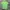 The North Face Gorpcore T-shirt Pria green photo 1