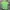 The North Face Gorpcore T-shirt Pria Green