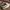 Nike Air Jordan Sportswear Sneakers Pria White