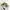 Luxury Sneakers Wanita white photo 2