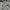 Adidas Streetwear Hoody Pria gray photo 2