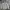 Adidas Streetwear Hoody Pria gray photo 1