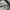 Adidas Streetwear Hoody Pria gray photo 5