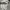 Adidas Streetwear Hoody Pria gray photo 4