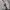 Adidas Streetwear Hoody Pria gray photo 6