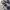 VANS Streetwear Casual Casual shirt Pria navy cream photo 7