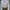 Casual Track jacket Wanita blue photo 1