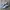 Adidas Indie Casual Sneakers Wanita navy gray photo 1