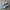 Adidas Indie Casual Sneakers Pria navy gray photo 1