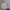 Sportswear Minimalist Windbreaker Pria cream photo 1