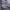 Minimalist Casual Harrington jacket Pria gray photo 3