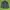 Dunlop Sportswear Windbreaker Pria multicolor photo 1