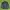 Dunlop Sportswear Windbreaker Pria Multicolor