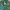 Vintage Streetwear Track jacket Pria green black photo 4