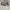 Onitsuka Tiger Casual Sneakers Wanita white photo 1