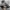 Luxury Sportswear Sneakers Pria cream photo 5