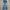 Bobson Streetwear Jeans Pria multicolor silver photo 1
