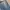 Bobson Streetwear Jeans Pria multicolor silver photo 5
