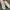Vintage Streetwear Sneakers Pria white gray photo 6