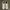 Vintage Streetwear Sneakers Pria white gray photo 2