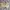 Y2K Fairy Crop top Wanita cream photo 1