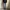 Wrangler Streetwear Jeans Pria multicolor photo 6