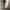 Wrangler Streetwear Jeans Pria multicolor photo 7
