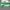 Puma Streetwear Casual Sneakers Pria white green photo 2