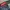 Streetwear Jeans Pria multicolor photo 3